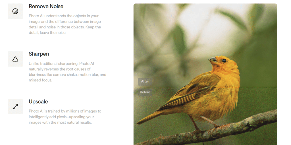 Snapshot of Topaz Photo AI
